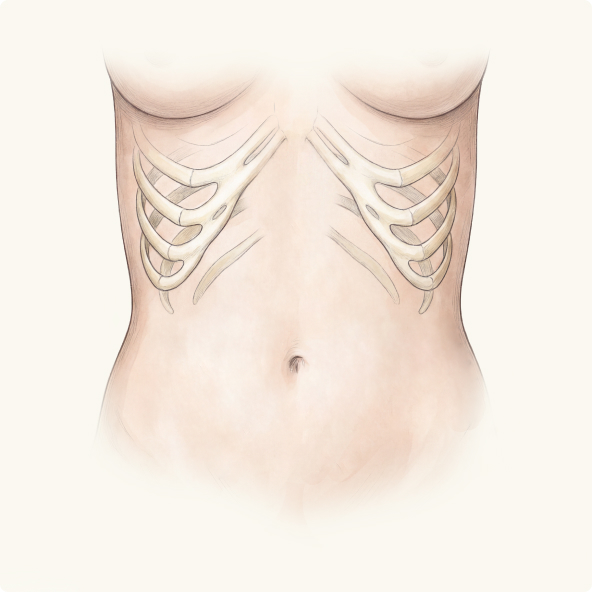 Stage 01: Contour