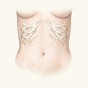 Snatched Waist procedure, stage 01 - contour